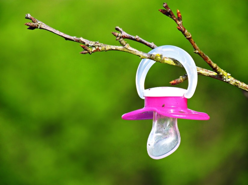 Child Branch Tree Suspended Pacifier